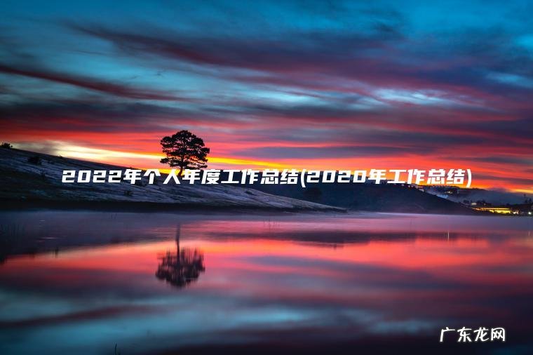 2022年个人年度工作总结(2020年工作总结) 2020年工作总结 2022年个人年度工作总结