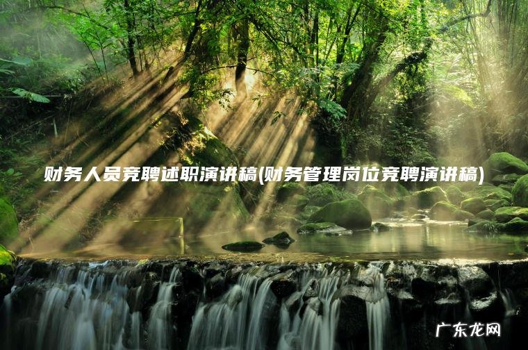 财务管理岗位竞聘演讲稿 财务人员竞聘述职演讲稿