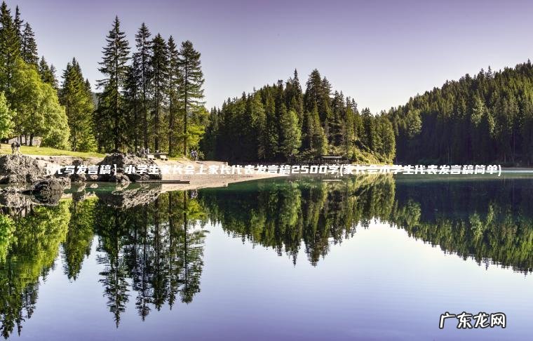 【代写发言稿】小学生家长会上家长代表发言稿2500字(家长会小学生代表发言稿简单) 家长会小学生代表发言稿简单 【代写发言稿】小学生家长会上家长代表发言稿2500字