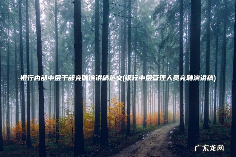 银行中层管理人员竞聘演讲稿 银行内部中层干部竞聘演讲稿范文