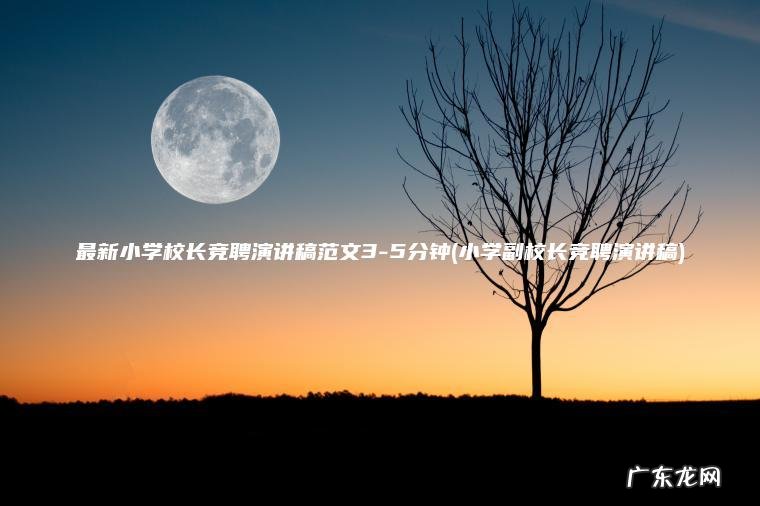 小学副校长竞聘演讲稿 最新小学校长竞聘演讲稿范文3-5分钟