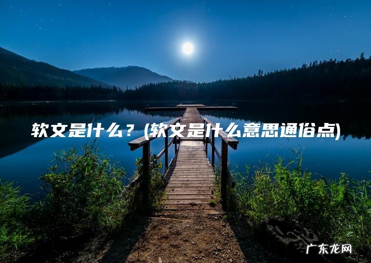 软文是什么?(软文是什么意思通俗点) 软文是什么意思通俗点 软文是什么?