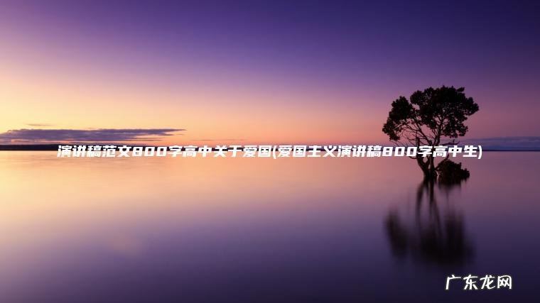 爱国主义演讲稿800字高中生 演讲稿范文800字高中关于爱国