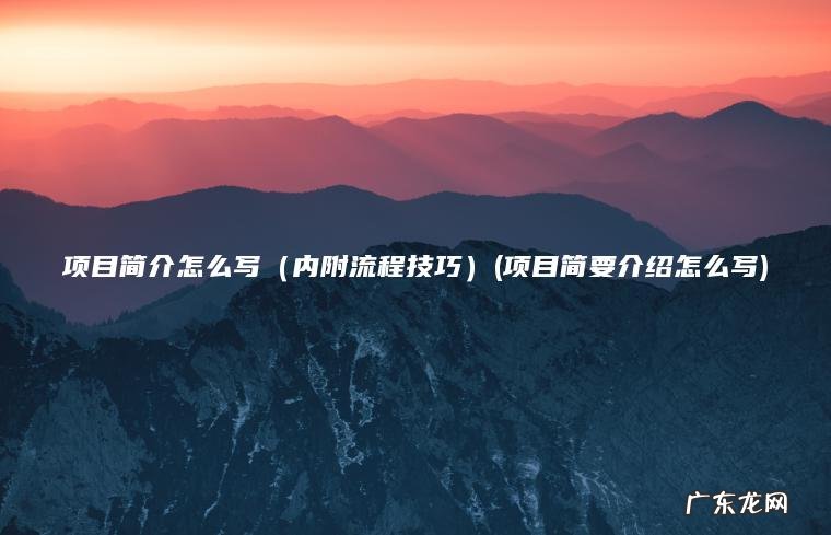 项目简要介绍怎么写 内附流程技巧 项目简介怎么写