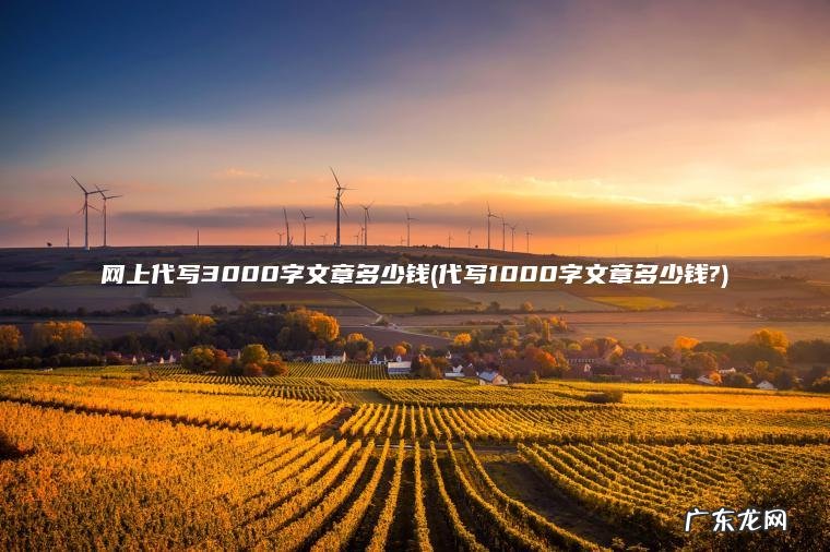 代写1000字文章多少钱? 网上代写3000字文章多少钱