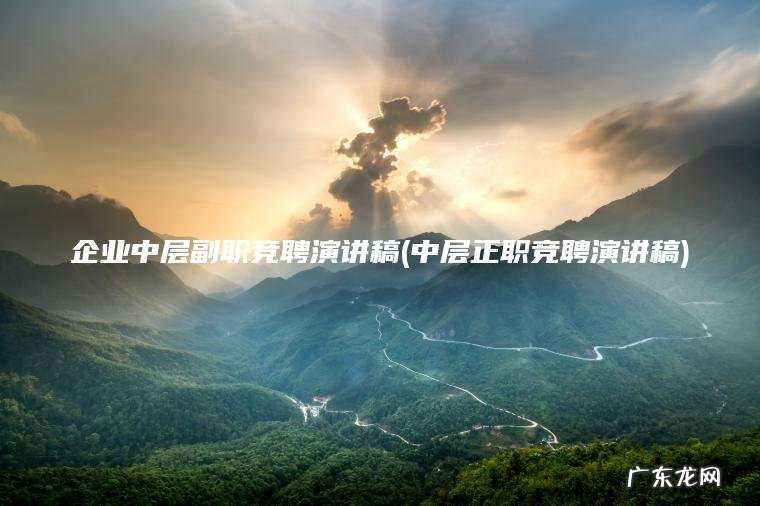 中层正职竞聘演讲稿 企业中层副职竞聘演讲稿