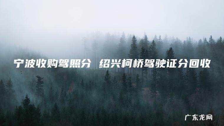 宁波收购驾照分 绍兴柯桥驾驶证分回收