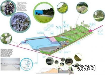 什么是可持续发展教育 什么是可持续发展