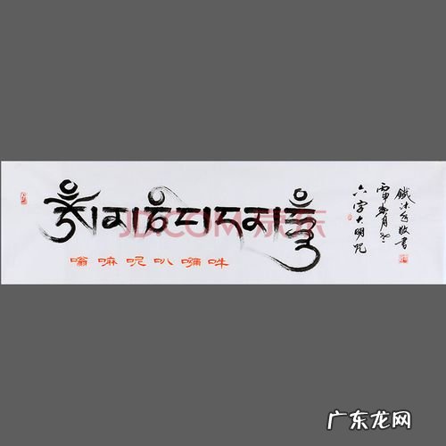 合理使用抗生素的六字真言是哪六个字 六字真言是哪六个字