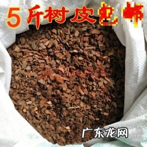 兰花植料松树皮发霉是咋回事 兰花植料松树皮