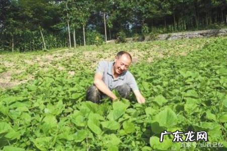 农村小本创业项目大全 农村小本创业