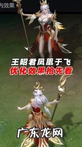 凤凰于飞王昭君返场抽奖保底 凤凰于飞王昭君返场