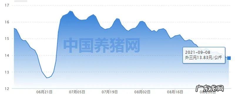 养猪的利润与成本 2013养猪成本和利润