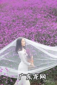 有些人一旦遇见,便一眼万年什么意思 一眼万年什么意思