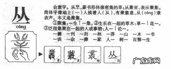 有些人一旦遇见,便一眼万年什么意思 一眼万年什么意思