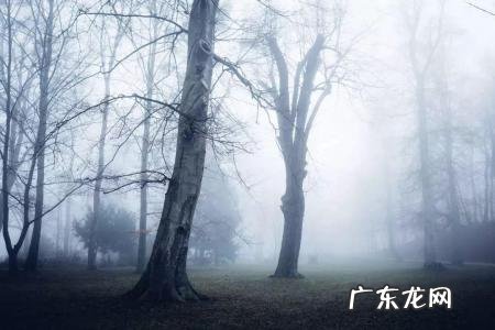 人情世故世态炎凉什么意思 世态炎凉的意思