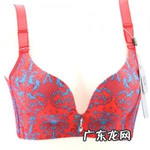 中国十大品牌文胸