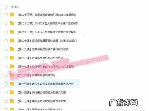 东方号自媒体平台登录 东方号自媒体平台注册