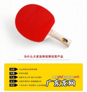 品牌乒乓球拍 乒乓球拍品牌排名