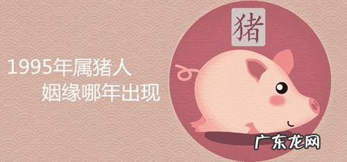 九五年属什么生肖男 九五年属什么生肖
