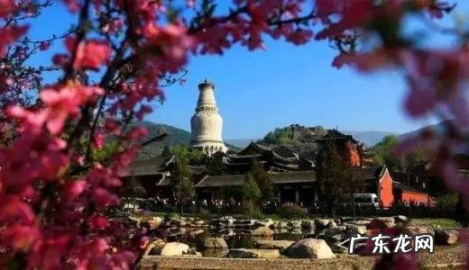 五台山不是谁都能去的文案 五台山不是谁都能去的