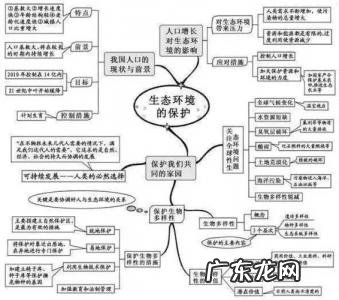 初中生物思维导图 初中生物思维导图