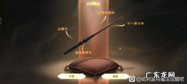 哈利波特魔杖杖芯都有哪些 哈利波特魔杖杖芯大全