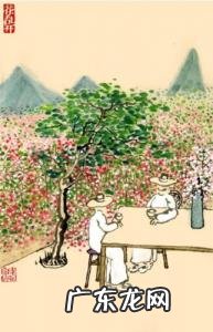 四十不惑是什么意思五十 四十不惑是什么意思