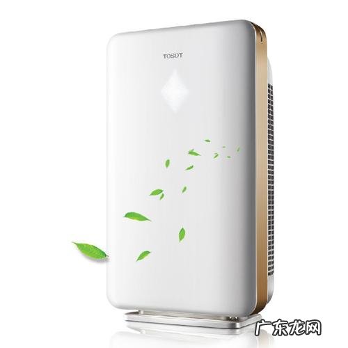 格力大松空气净化器 大松空气净化器