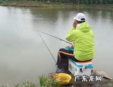 天元邓大师钓鱼视频 天元钓鱼论坛