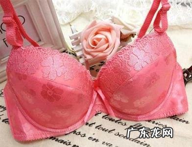 中高端女士内衣品牌 女士内衣品牌排行榜