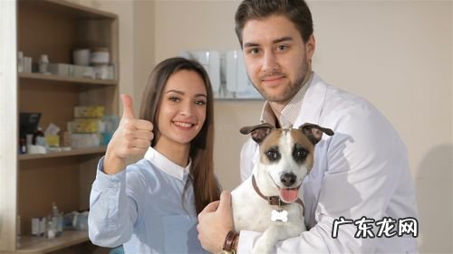 沈阳宠物医生工资 宠物医生工资
