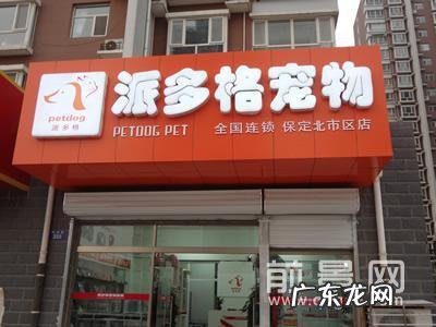 加盟一个宠物店大概要多少钱 宠物店加盟要多少钱