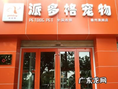 宠物店价目表 开一家宠物店要多少钱