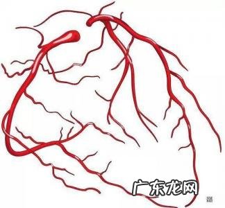 心窝在哪个位置图片 心窝部位置图片