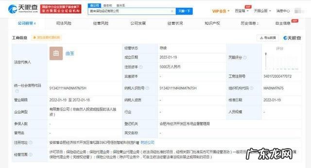 出险记录查询,出险记录查询免费