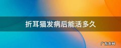 折耳猫发病后能活多久 折耳猫发病可以活多久
