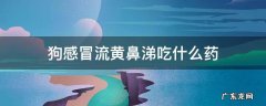 狗感冒流黄鼻涕吃什么药 小狗黄鼻涕吃什么感冒药