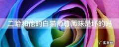二哈和他的白猫师尊师昧是坏的吗 二哈和他的白猫师尊师昧是什么身份
