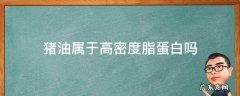 什么食用油不属于高密度脂蛋白 猪油属于高密度脂蛋白吗