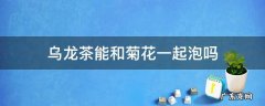 乌龙茶能和菊花一起泡吗 乌龙菊花茶能在一起喝吗