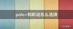 polo 和昕动怎么选择